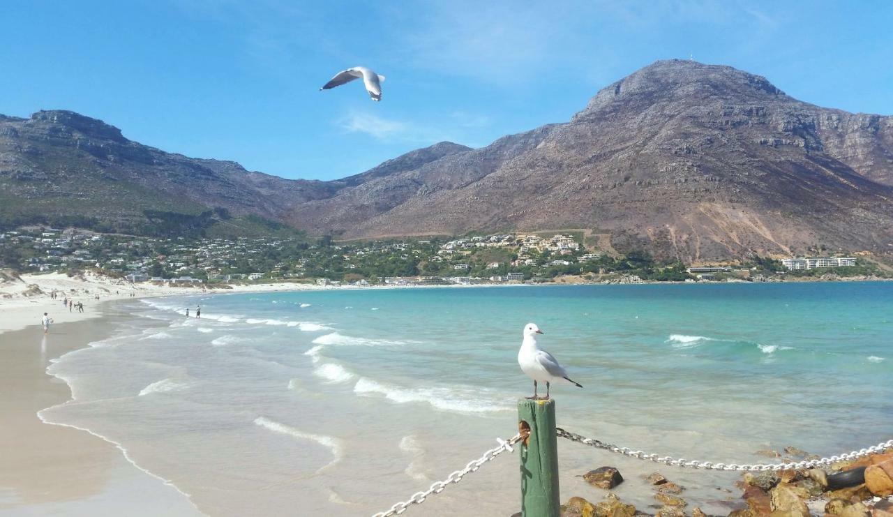 Hout Bay Beach Cottage Bagian luar foto